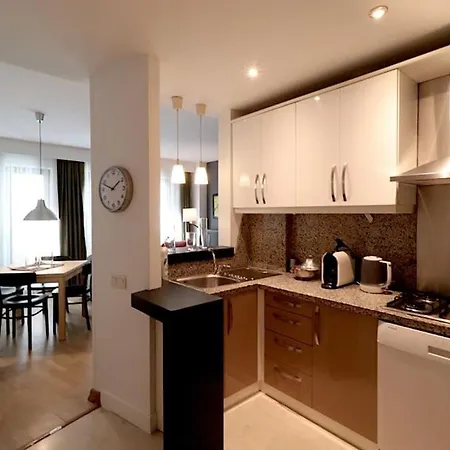 Apartment Modern One Bedroom In Cihangir *